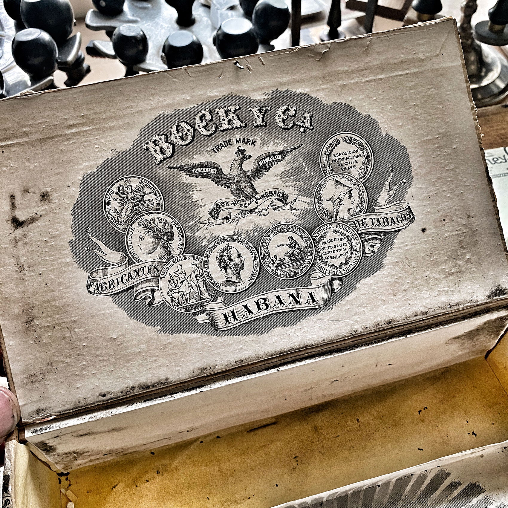 MEMORY BOX - Serie 8 - BOCK Y CA - LARGE MEMORY BOX - Serie 8 - BOCK Y CA - LARGE