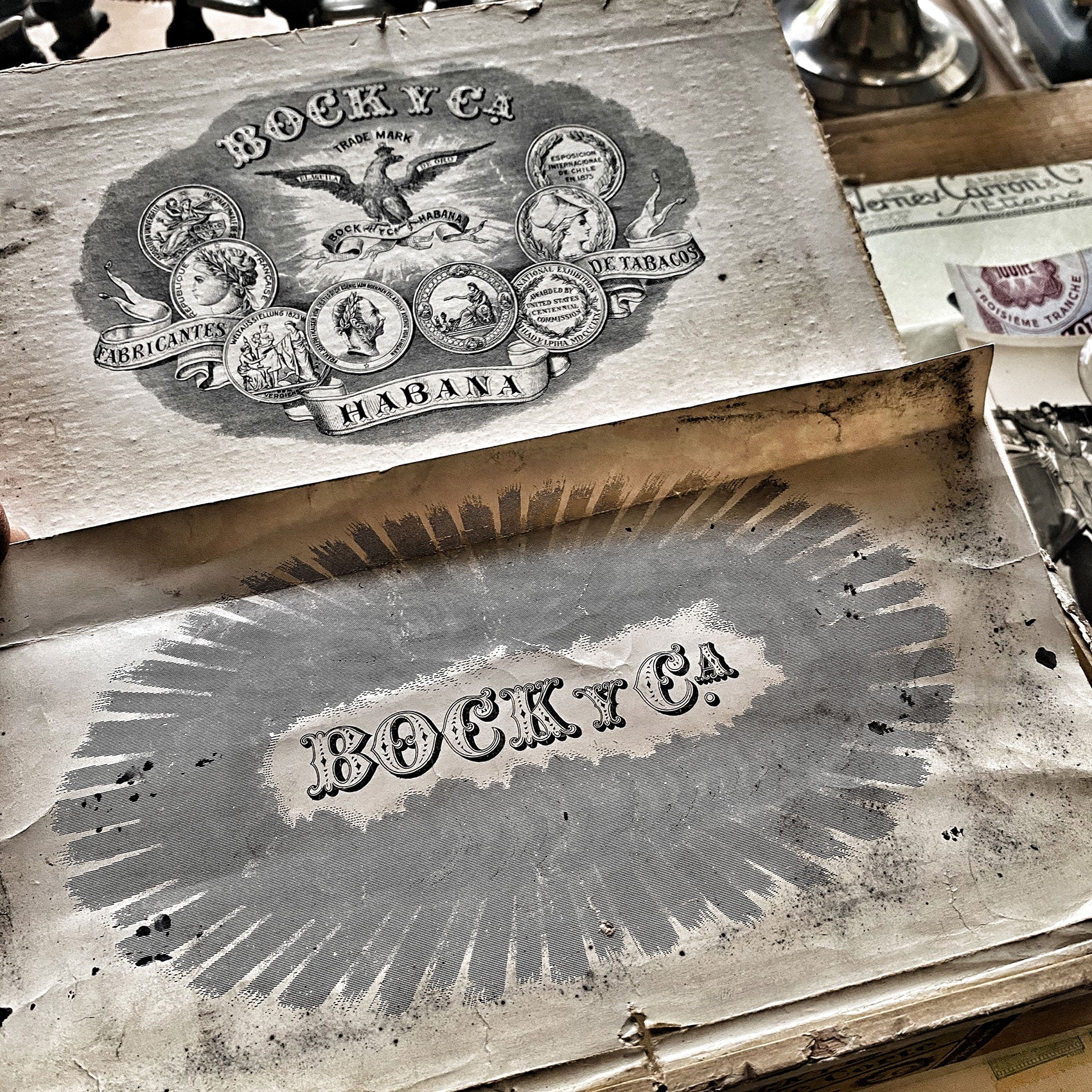 MEMORY BOX - Serie 8 - BOCK Y CA - LARGE MEMORY BOX - Serie 8 - BOCK Y CA - LARGE