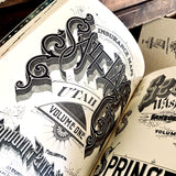 The Alphabet Cities book