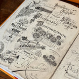 Ephemera Collection BOOK B