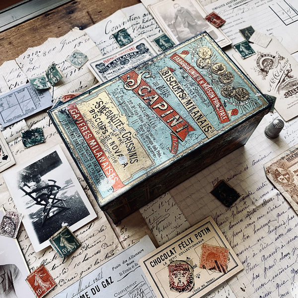 MEMORY BOX - Serie 9 - SCAPINI - LARGE