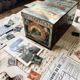 MEMORY BOX - Serie 9 - SCAPINI - LARGE