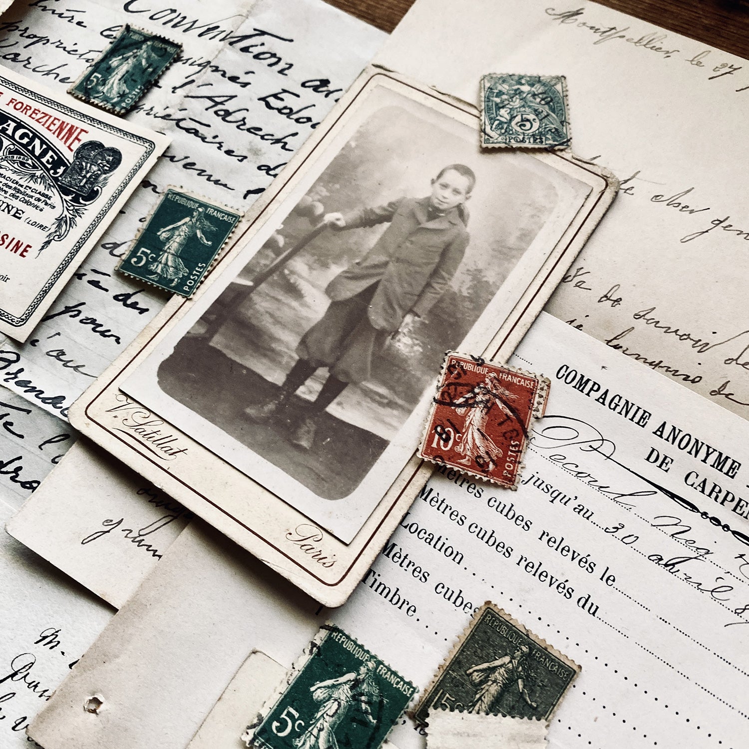 MEMORY BOX - Serie 9 - SCAPINI - LARGE MEMORY BOX - Serie 9 - SCAPINI - LARGE