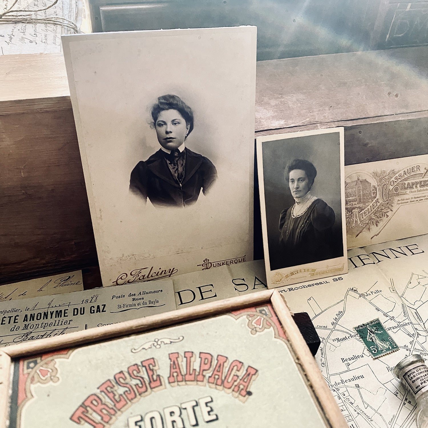 MEMORY BOX - Serie 9 - AU GRIFFON - LARGE MEMORY BOX - Serie 9 - AU GRIFFON - LARGE