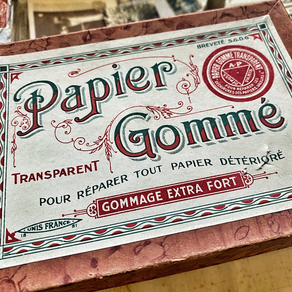 MEMORY BOX - Serie 9 - PAPIER GOMME - MEDIUM